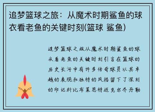 追梦篮球之旅:从魔术时期鲨鱼的球衣看老鱼的关键时刻(篮球 鲨鱼)