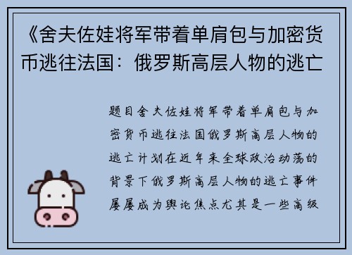 《舍夫佐娃将军带着单肩包与加密货币逃往法国:俄罗斯高层人物的逃亡计划》