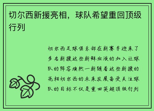 切尔西新援亮相，球队希望重回顶级行列