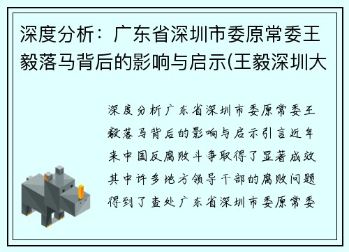 深度分析：广东省深圳市委原常委王毅落马背后的影响与启示(王毅深圳大学)