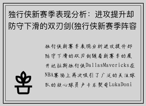 独行侠新赛季表现分析：进攻提升却防守下滑的双刃剑(独行侠新赛季阵容名单)