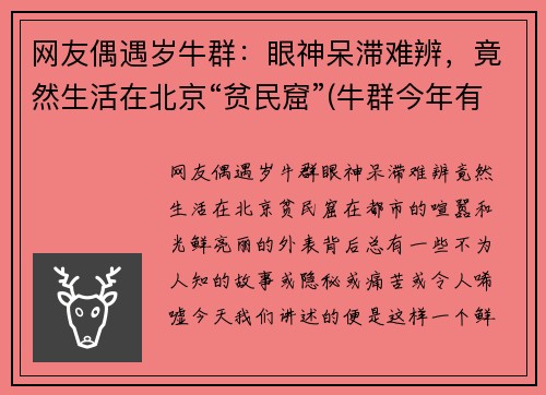 网友偶遇岁牛群：眼神呆滞难辨，竟然生活在北京“贫民窟”(牛群今年有多大岁数)